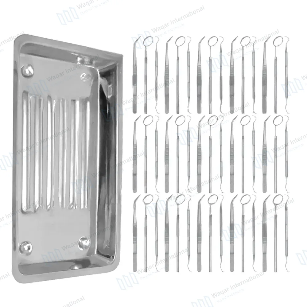 45 Pcs Basic Dental Examination Instruments with Scaler Tray