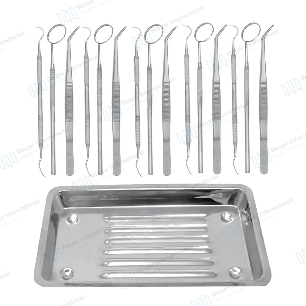 15 Pcs Basic Dental Examination Instruments with Scaler Tray