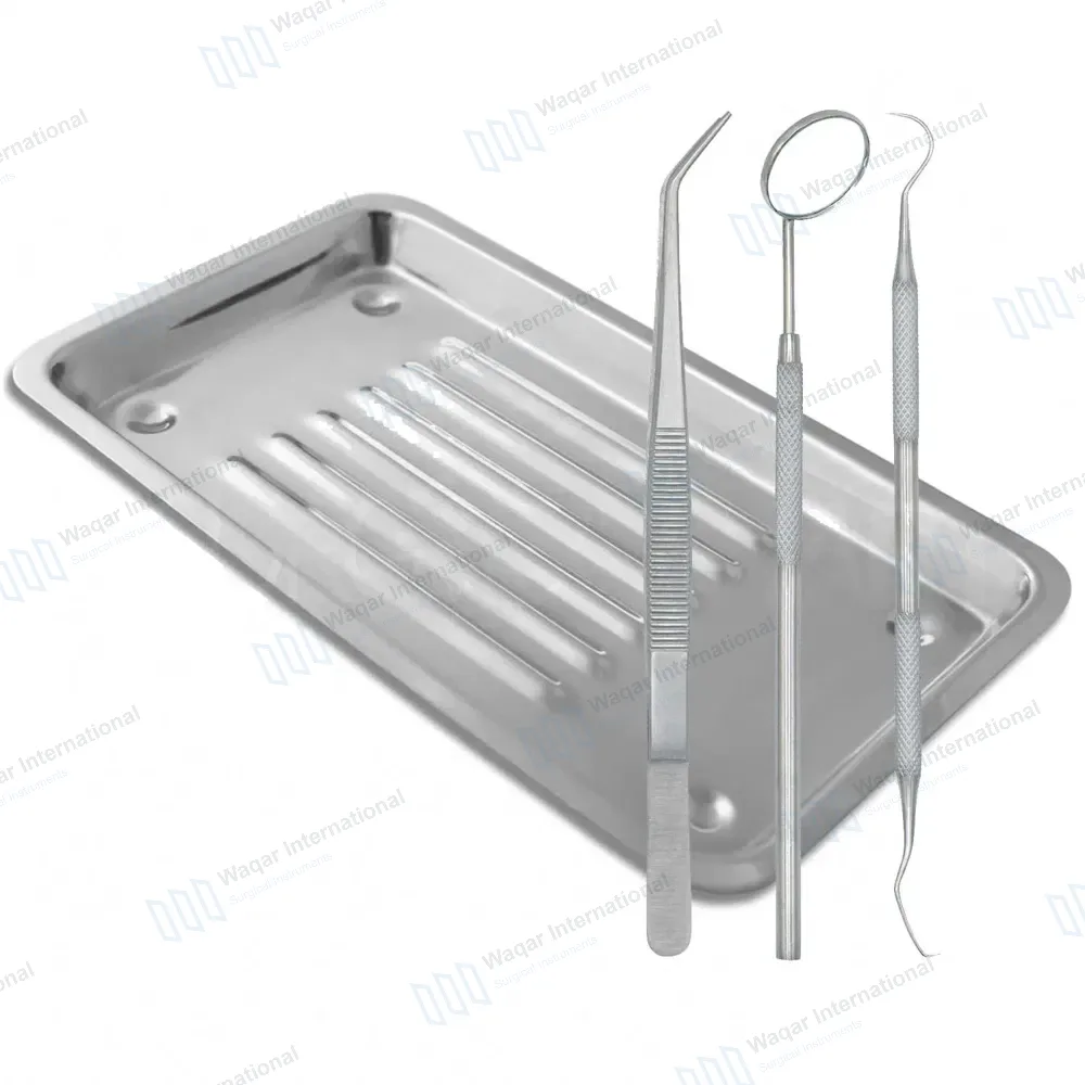 4 Pcs Scaler Tray with Basic Dental Examination Kit