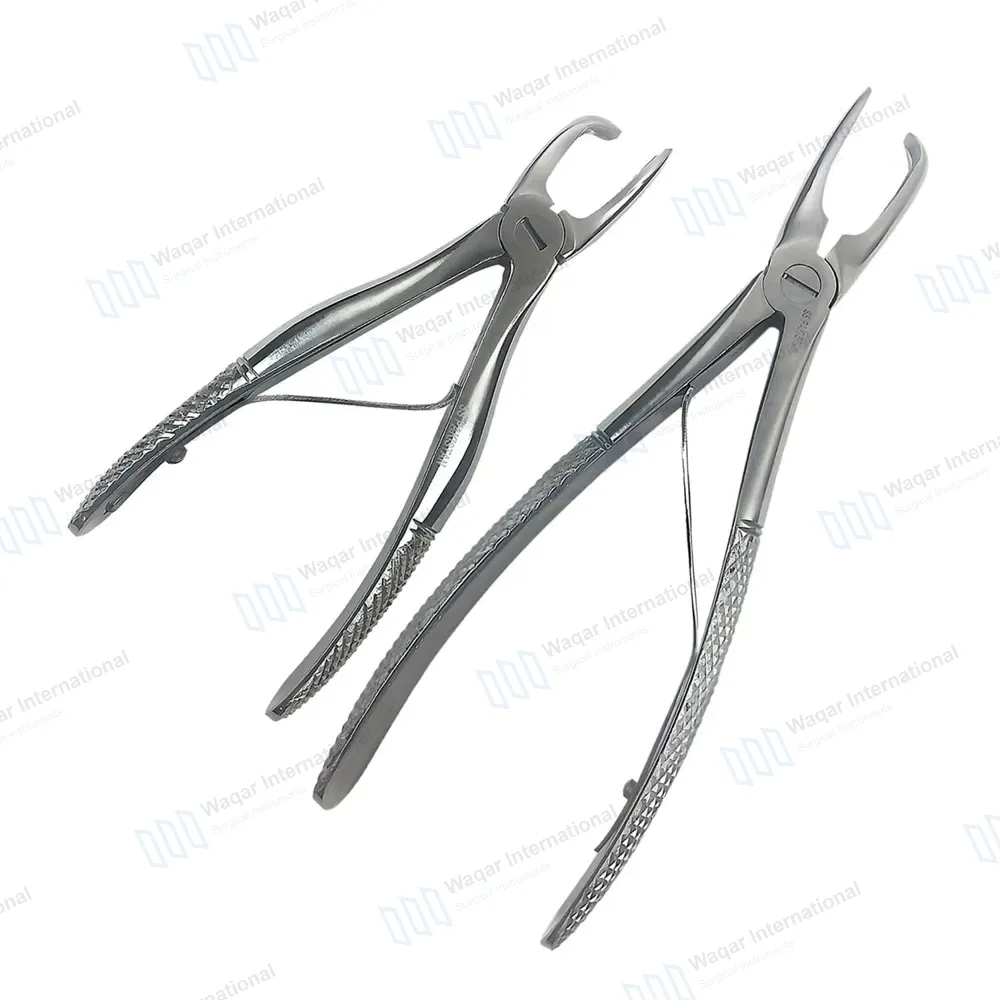2 Tartar Removing Forceps 4.5″ & 7″ Dental Veteniary Instruments