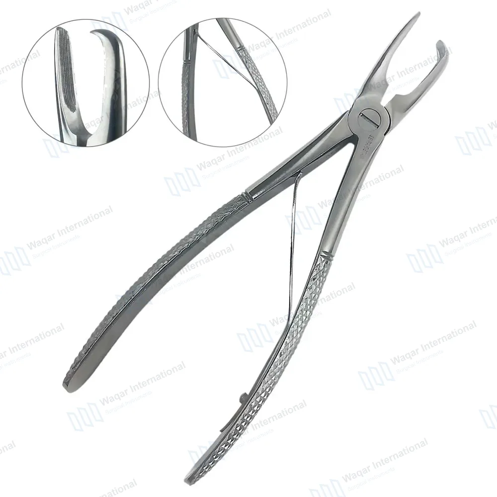 Tartar Removing Forceps 7″ Curved Beak