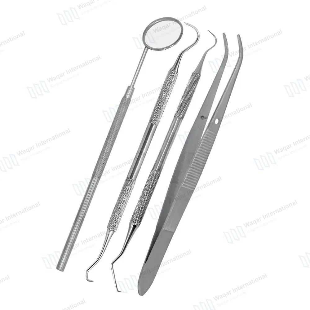 4 Pcs Basic Tartar Scrapping Kit