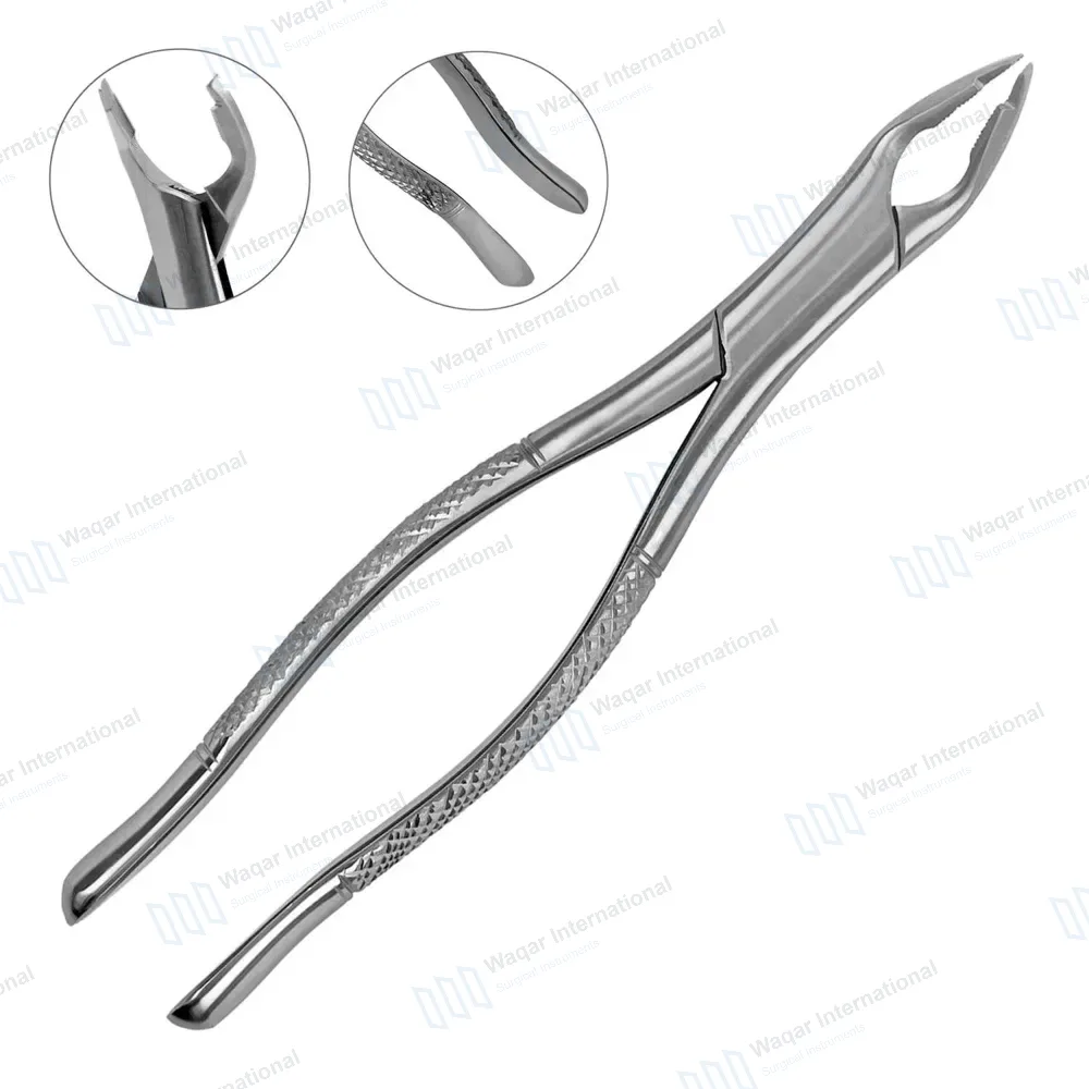 Dental Extracting Forceps #349 for Upper Incisors & Root
