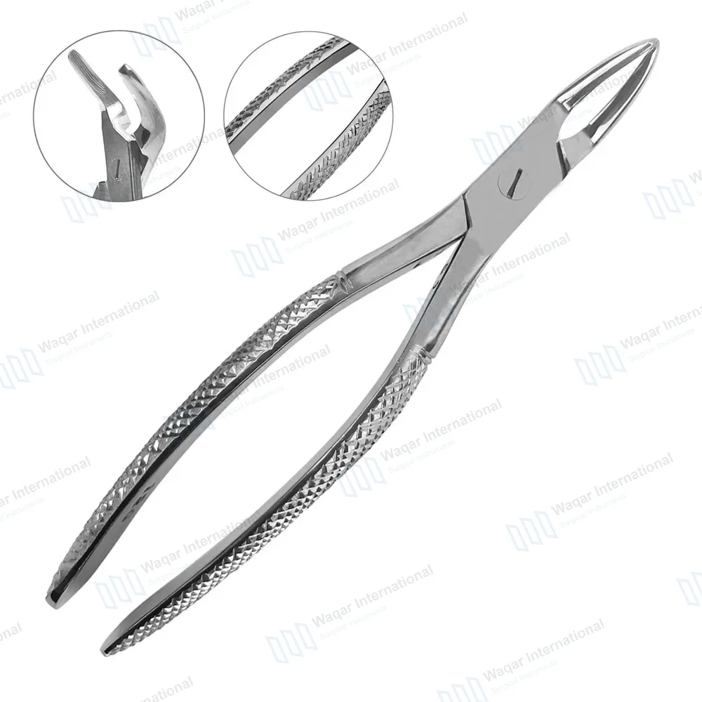Dental Extracting Forceps #120 Witzel Upper Roots, Universal