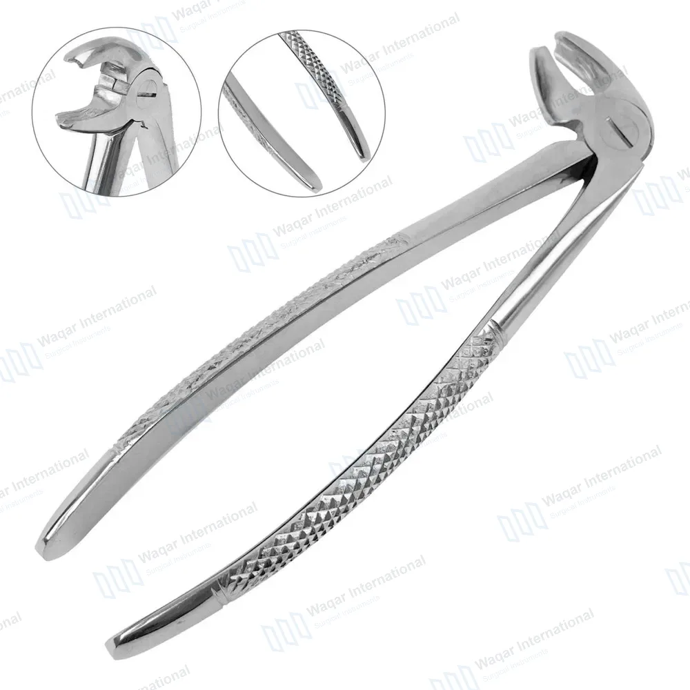 English Mead Extracting Forceps #MD4 for Lower Molars
