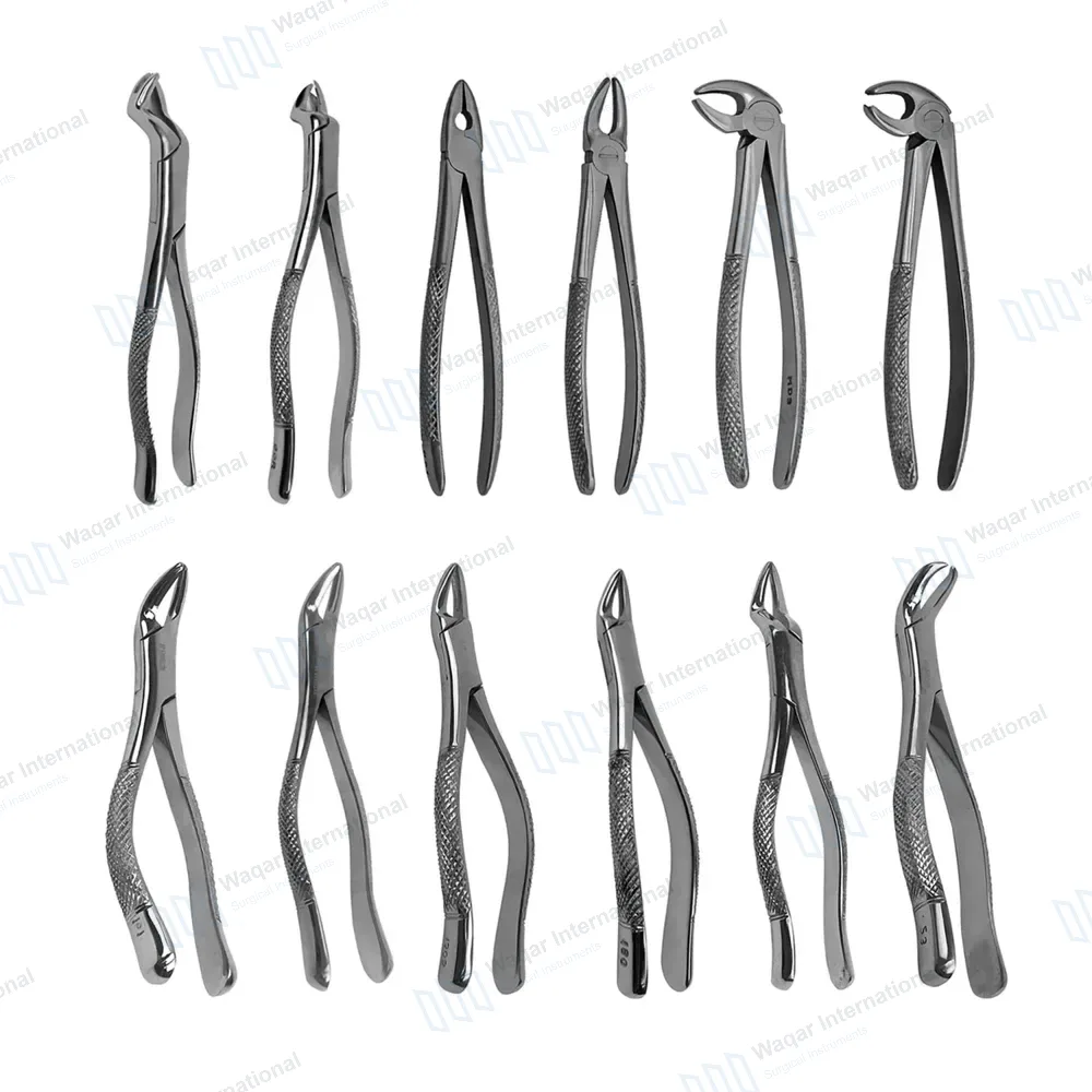 12 Pcs Extracting Forceps Upper & Lower Dental  Instruments
