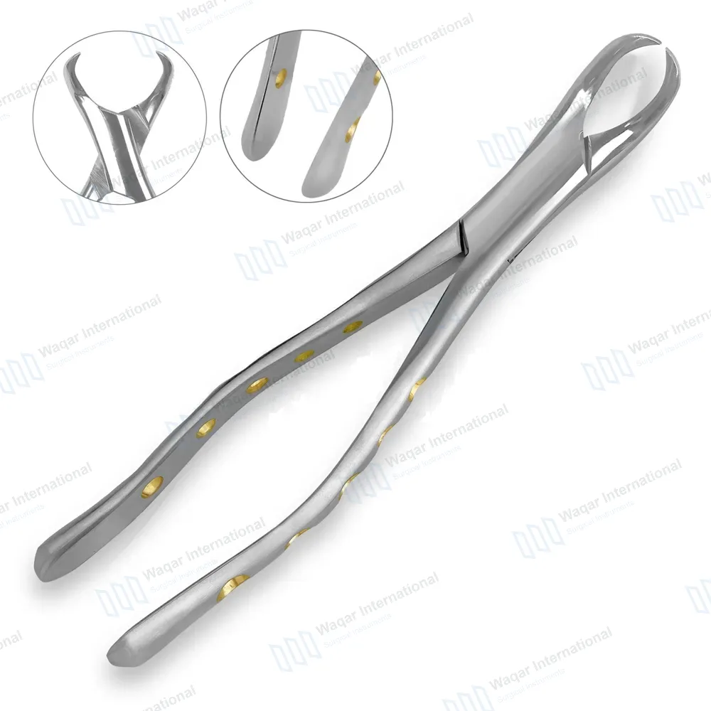 American Extracting Forceps #23 with Gold Hollow Python Grip Handle