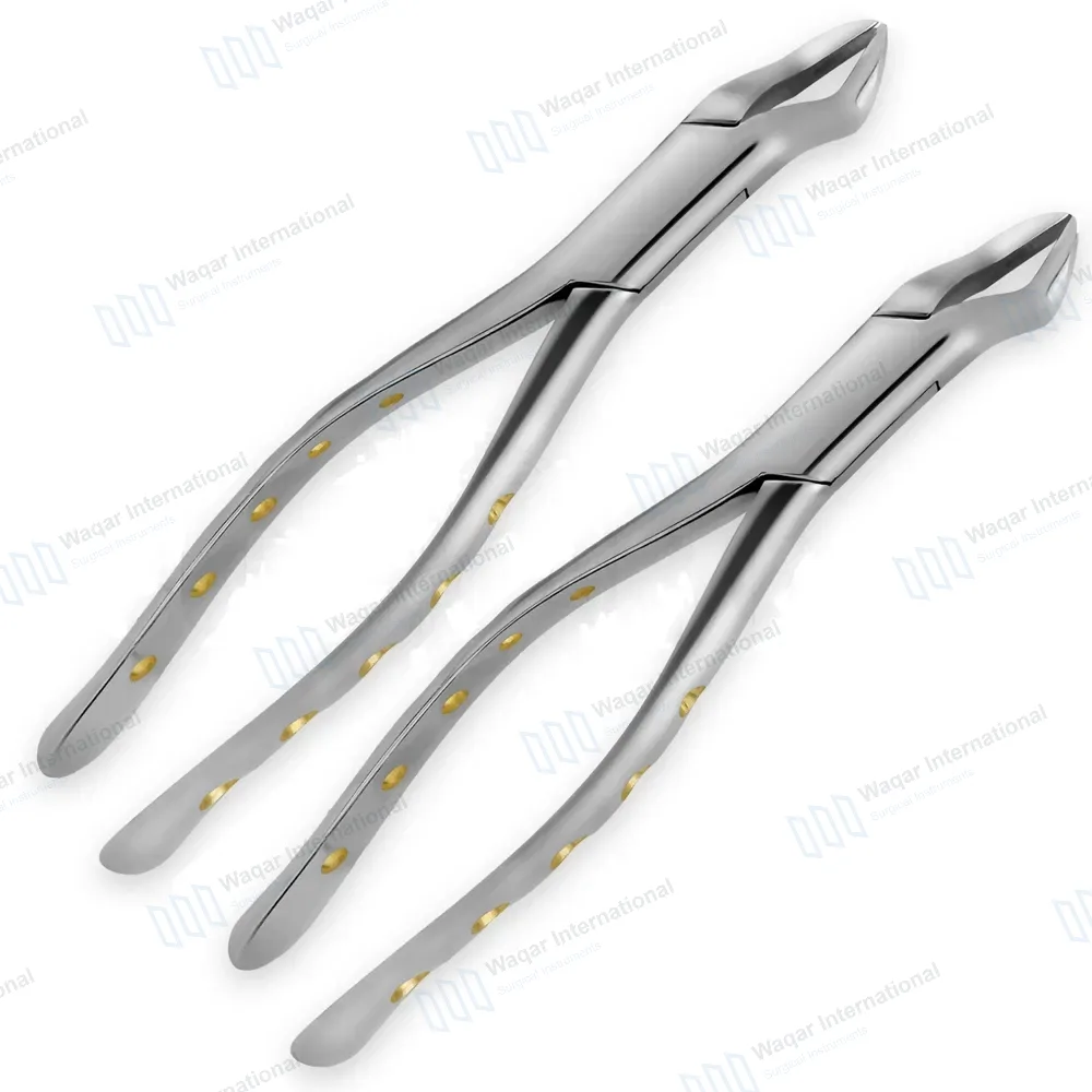 2 Extracting Forceps #88R & #88L with Gold Hollow Python Grip Handle