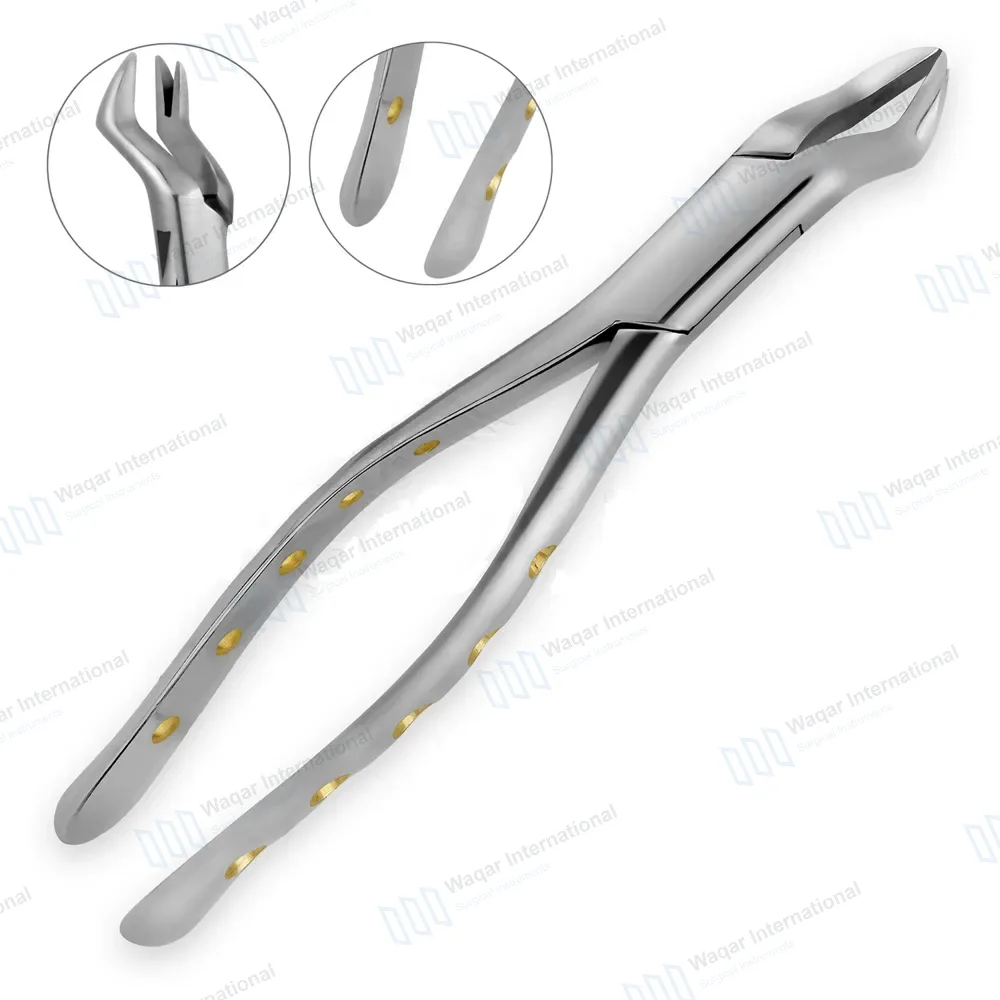 Extracting Forceps #88R 1st & 2nd Upper Molar with Gold Python Grip