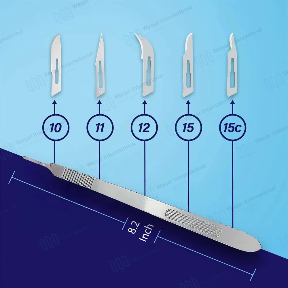 7 Pcs Scalpel Handles Set #3, #4, #3L, #4L, #5, #6 and #7 – Reusable