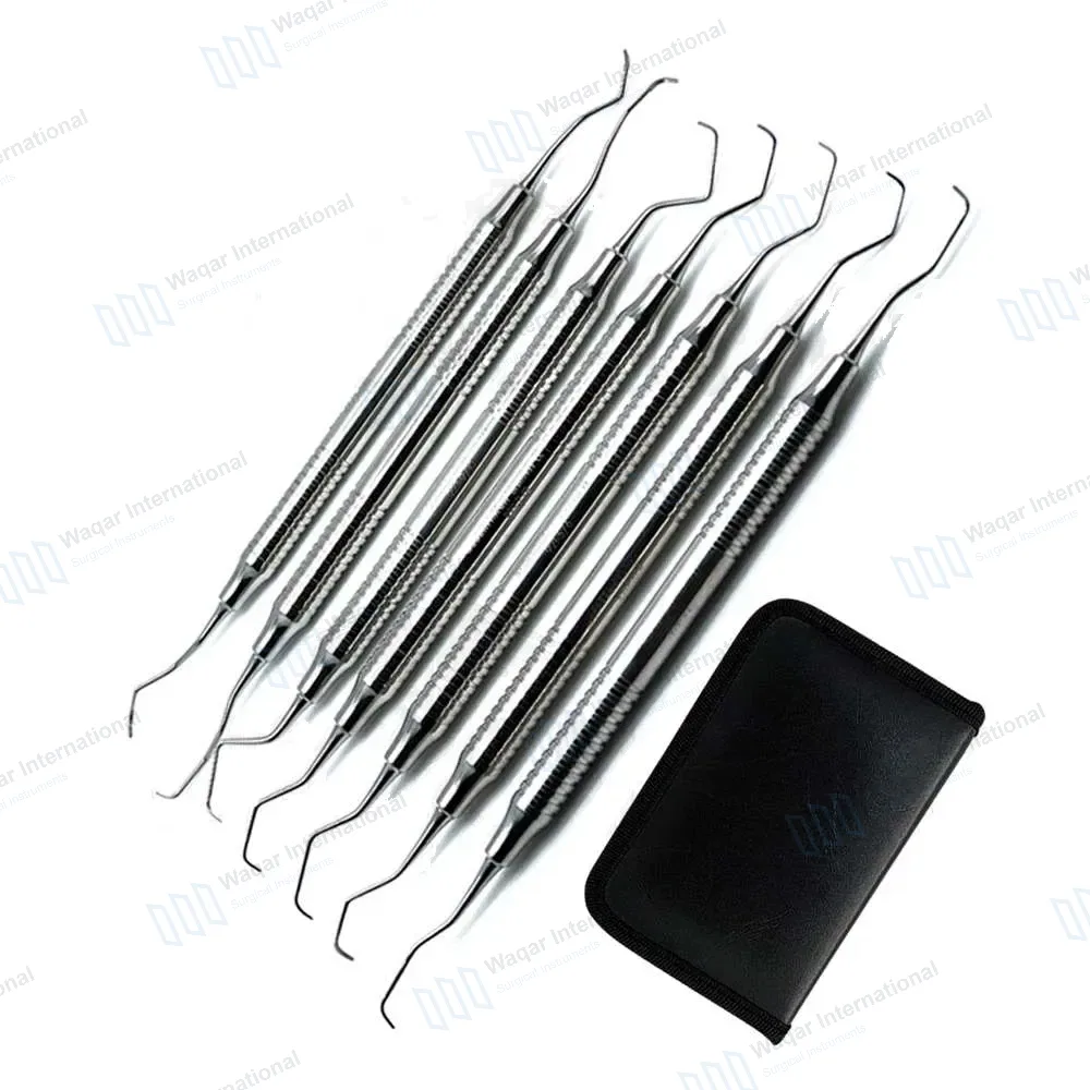 7 Pcs Gracey Curettes Set Periodontal Scaler with Zipper Case