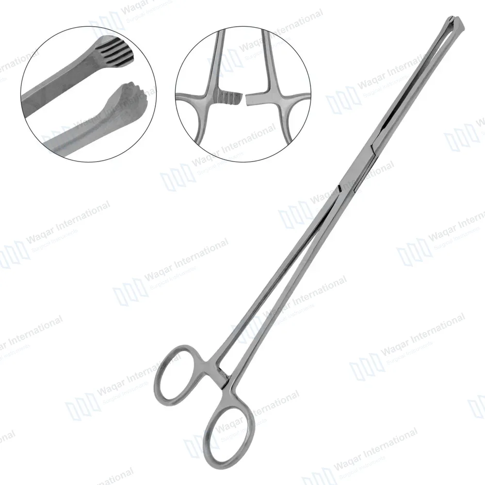 Allis Tissue Forceps 10″ 5×6 Teeth