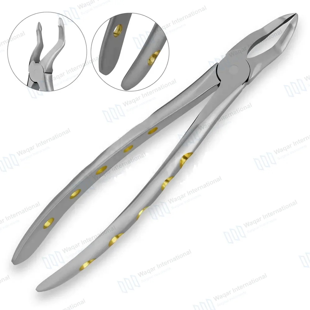 English Pattern Dental Extracting Forceps #51Z Upper Roots