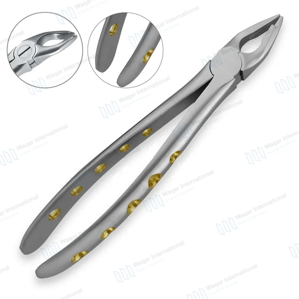 ROBA English Pattern Extracting Forceps #35A Upper Premolars