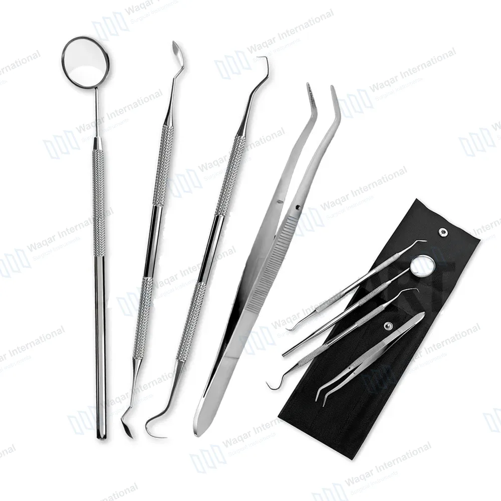 4 Pcs Professional Dental Tartar Scraper Tools Set with Pouch