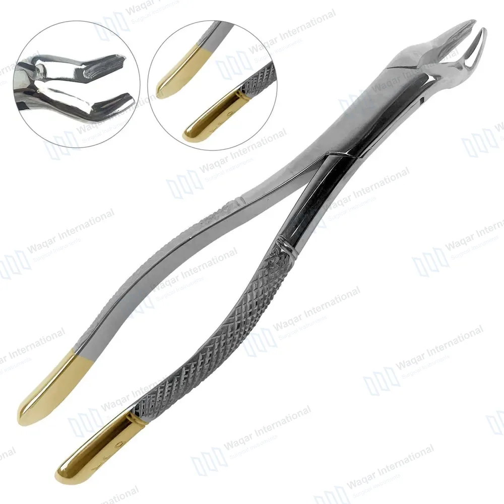 T/C Extracting Forceps #53R for Upper 1st & 2nd Right Molars