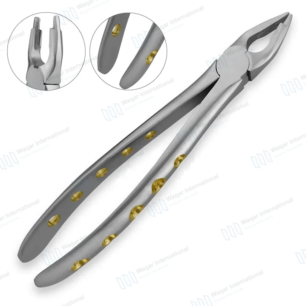 English Extracting Forceps #34 Upper Anteriors – Notched Beaks