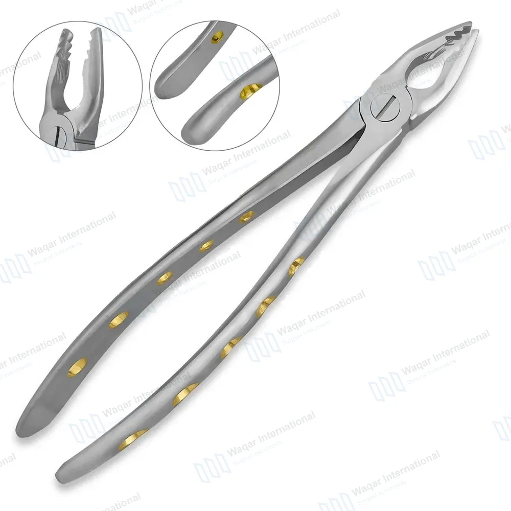 ROBA Extracting Forceps #34N Upper Incisors and Eye Teeth
