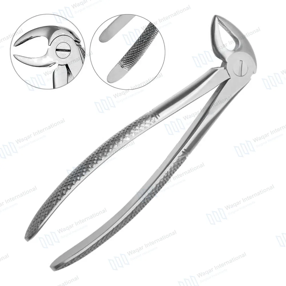 English Pattern Extraction Forceps #33 Lower Roots Serrated