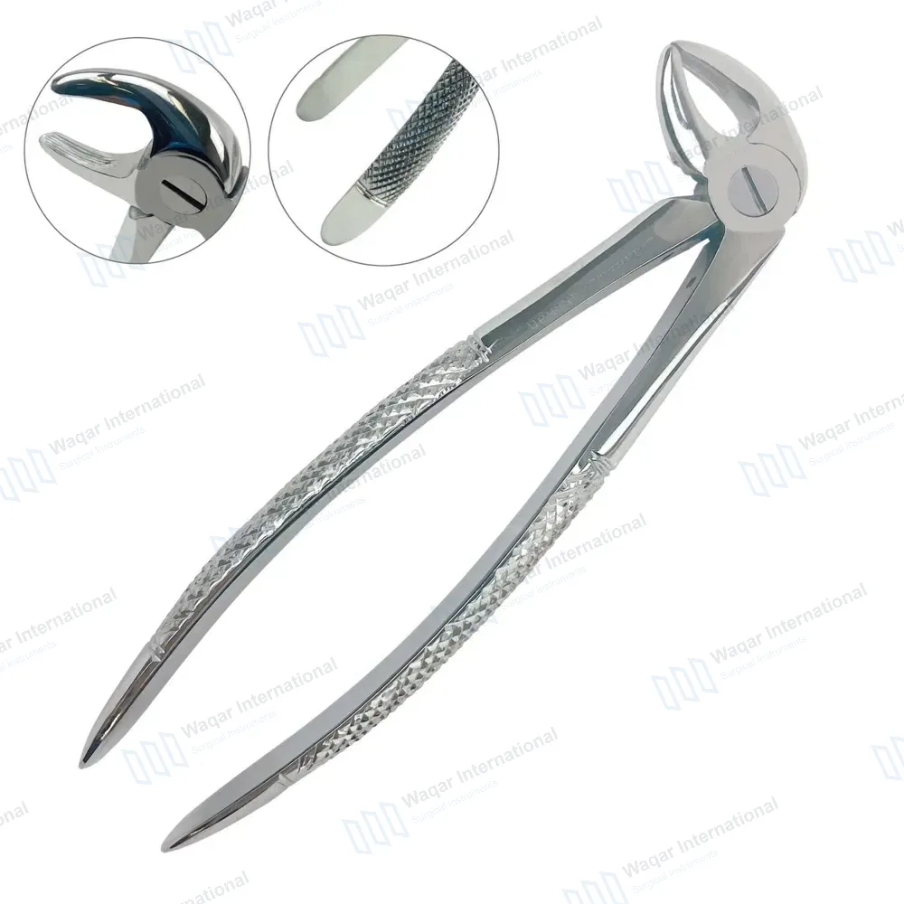 English Pattern Tooth Extraction Forceps #33V Lower Roots