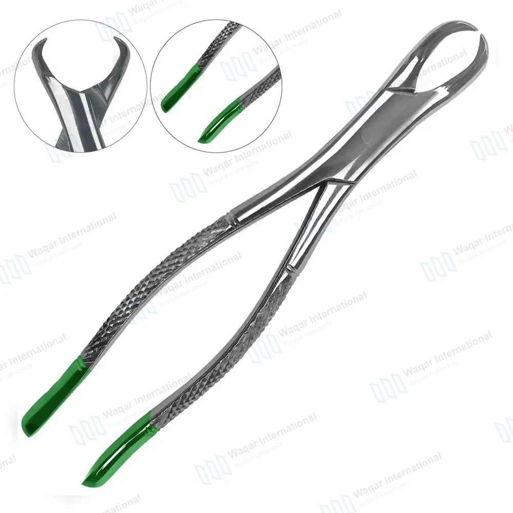 Extracting Forceps #23 Lower Molars with Green Color Coated Handle