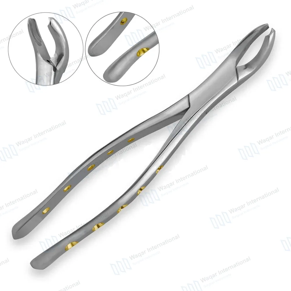 Universal Extraction Forceps #17 with Gold Hollow Python Grip Handle