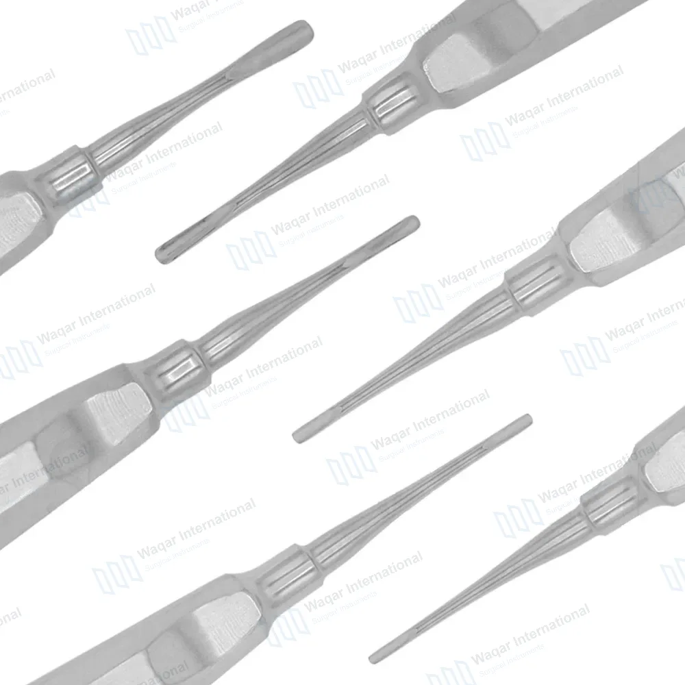 12 Pcs Small Animal Dental Extraction Kit