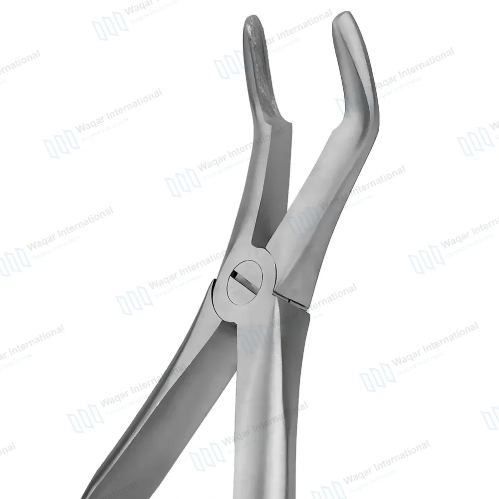 3 Pcs T/C Root Tip Extraction Forceps #845 #849 #859 Diamond Dusted Gold Handle