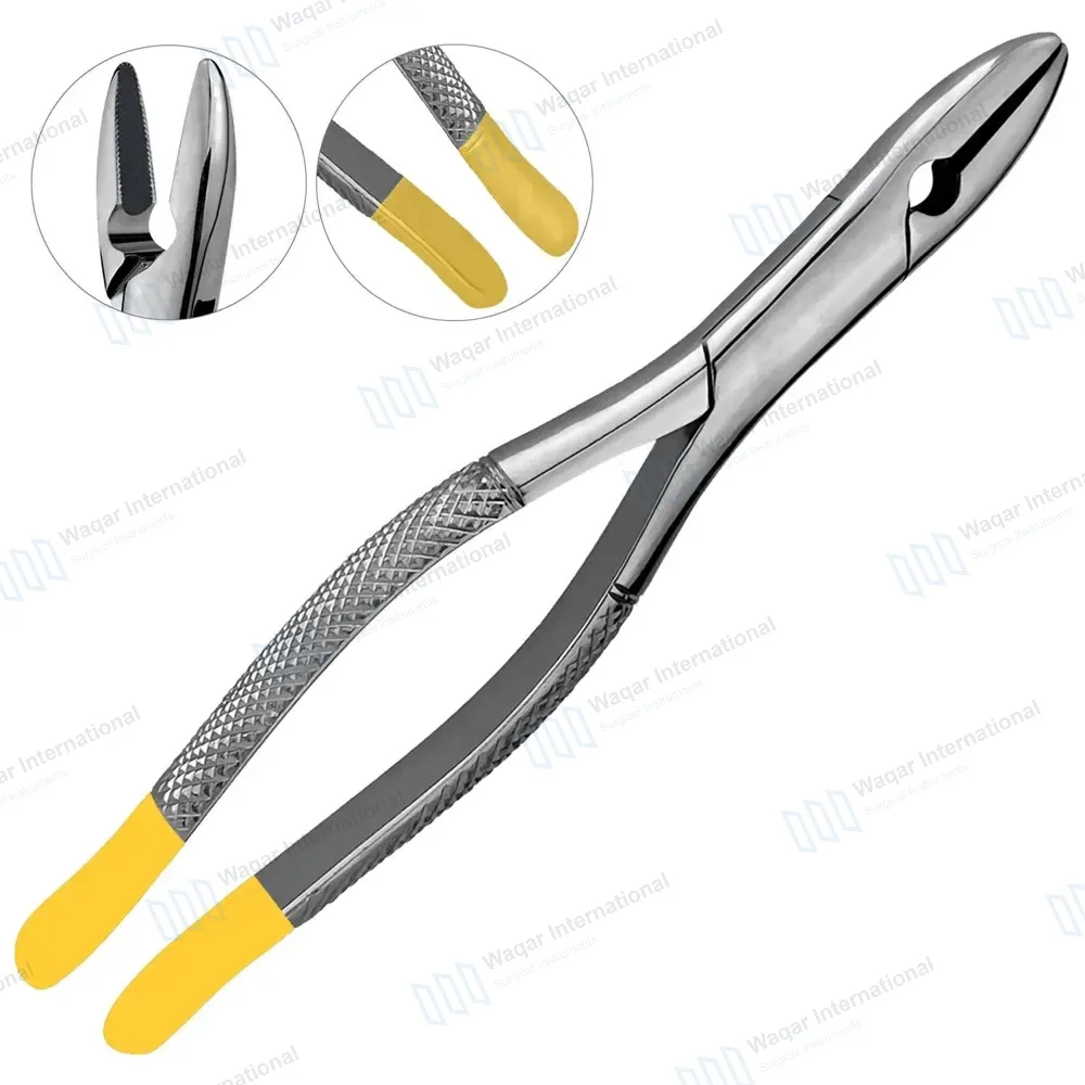 TC Extracting Forceps #1STD Upper Incisors and Cuspids
