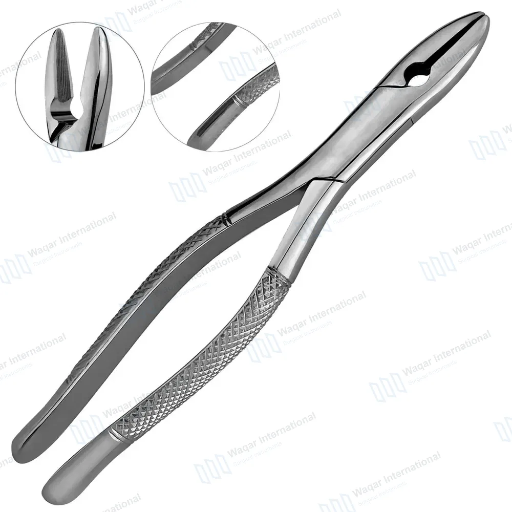 Tooth Extracting Forceps #1STD Upper Incisors and Cuspids
