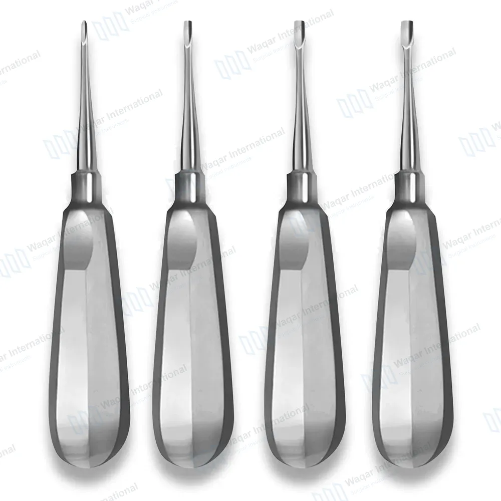 4 Pcs Winged Elevators Set 1mm-4mm Tips Standard Handle