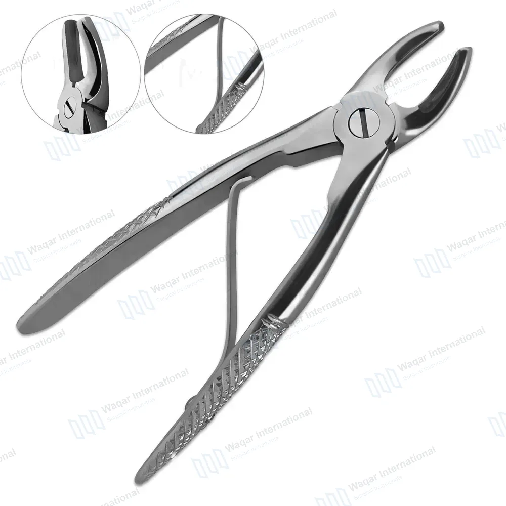 Pedo Extracting Forceps #F Dental Surgical Instrument