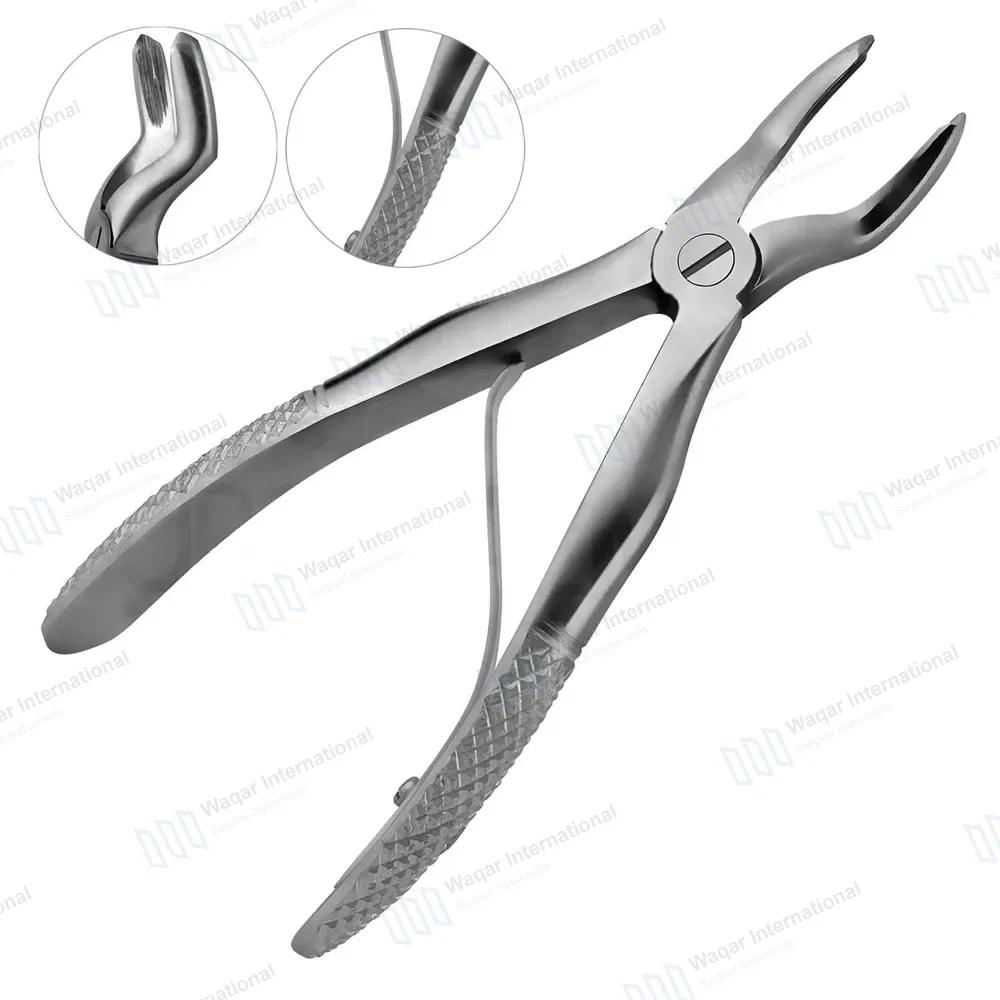 Pedo Extracting Forceps #A Dental Surgical Instrument