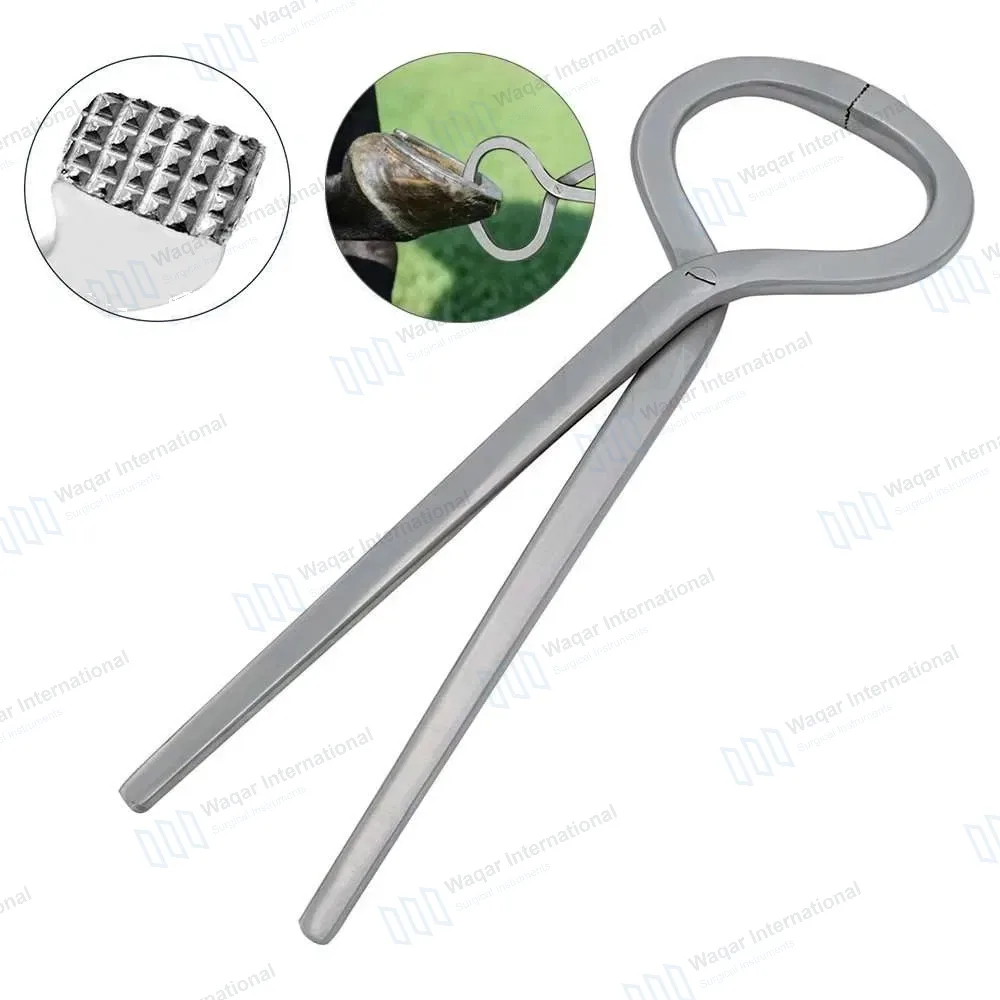 Hoof Tester 13″ Stainless Steel Equine Veterinary Instrument