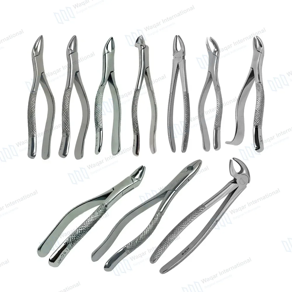 10 Extracting Forceps Set Tooth Extraction Dental Instruments