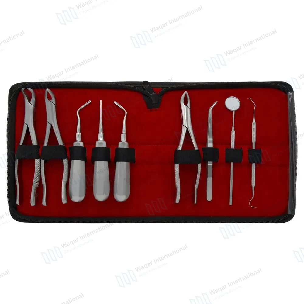 9 Pcs Basic Dental Surgery Extraction Forceps Elevator Set
