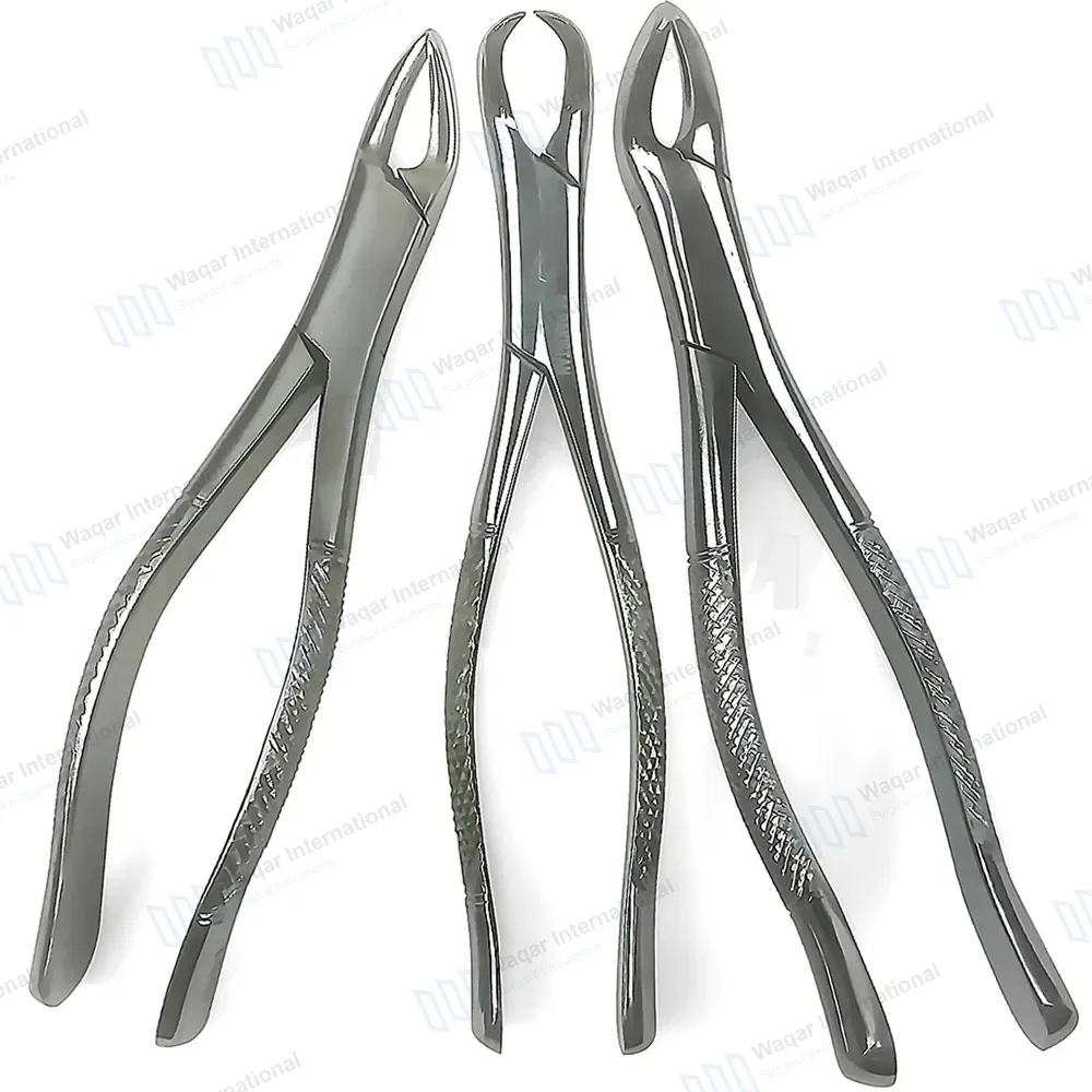 3 Dental Extracting Forceps #150 #151 #23