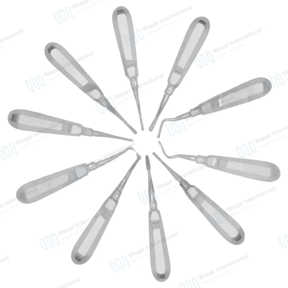 10 Pcs Dental Elevators Set – Periosteal Apical Molt Oral Implant