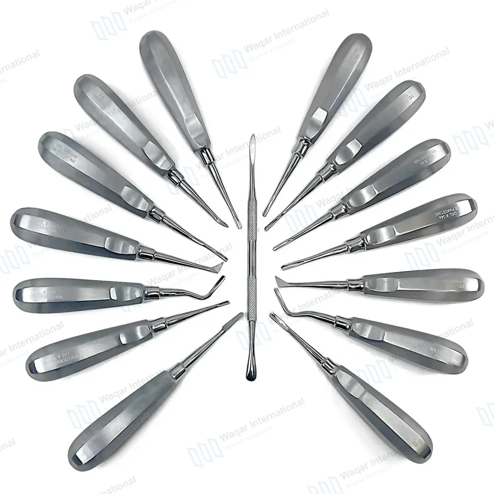 15 Pcs Dental Elevators Instruments Set