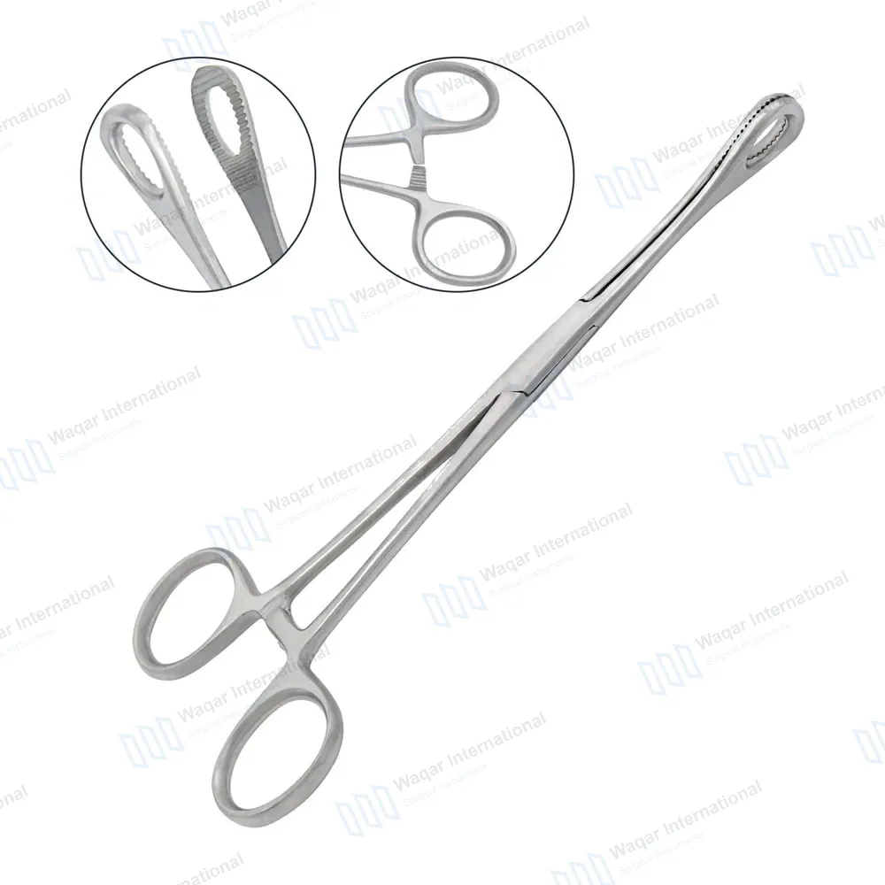 Body Piercing Sponge Forceps 7″ Non Slotted Straight Serrated