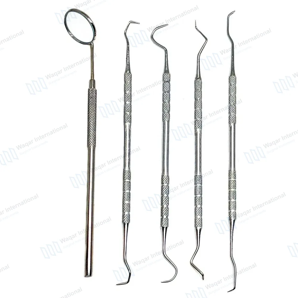 5 Pcs Dental Pick Tools Set