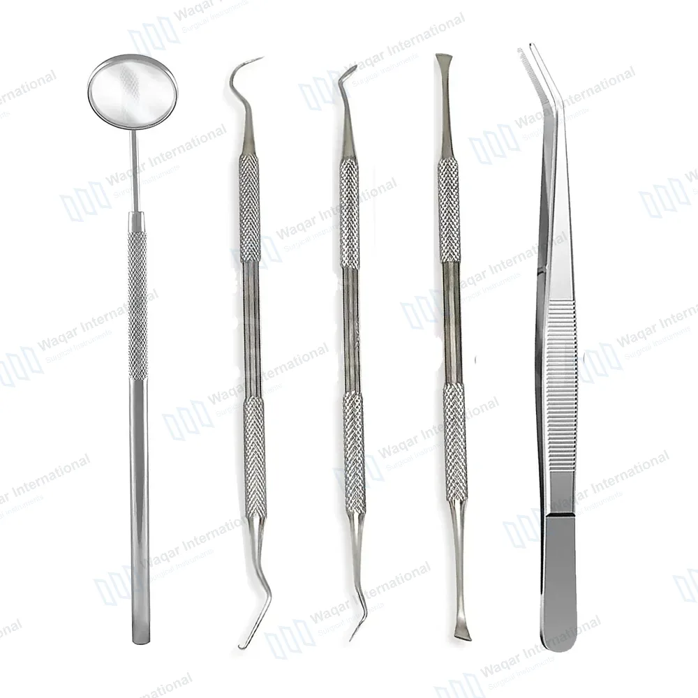 5 Pcs Professional Dental Oral Hygiene Kit
