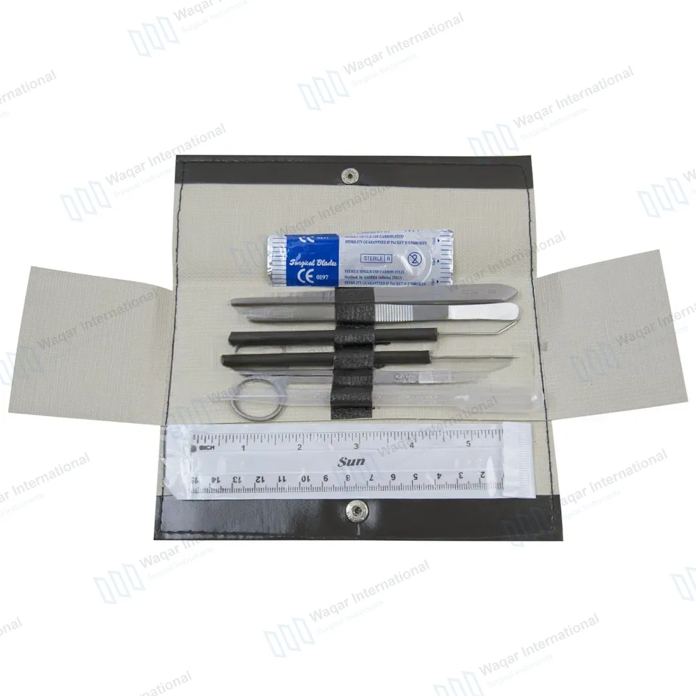 6 Pcs Dissecting Instrument Student Kit
