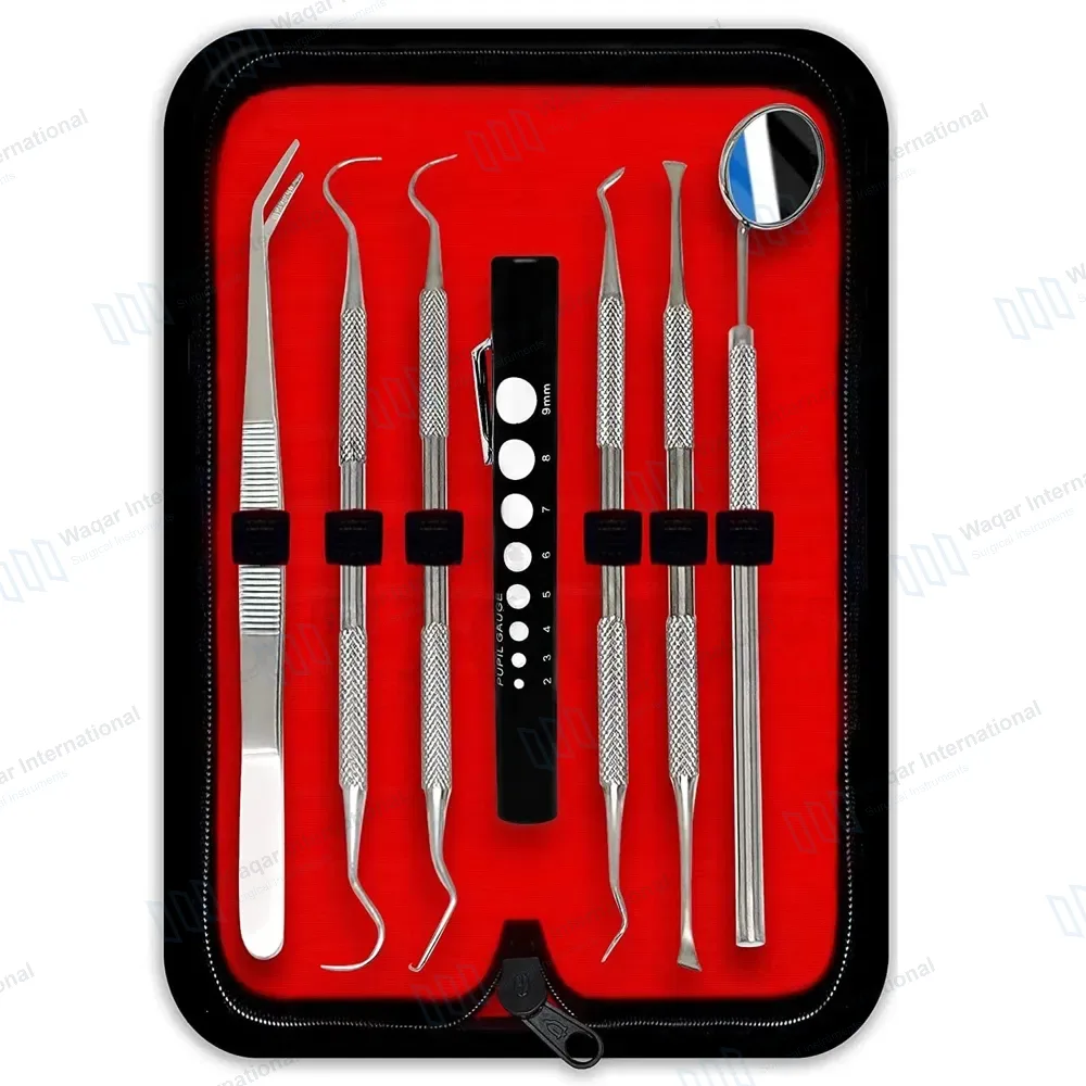 6 Pcs Dental Oral Hygiene Kit with FREE Penlight & Case