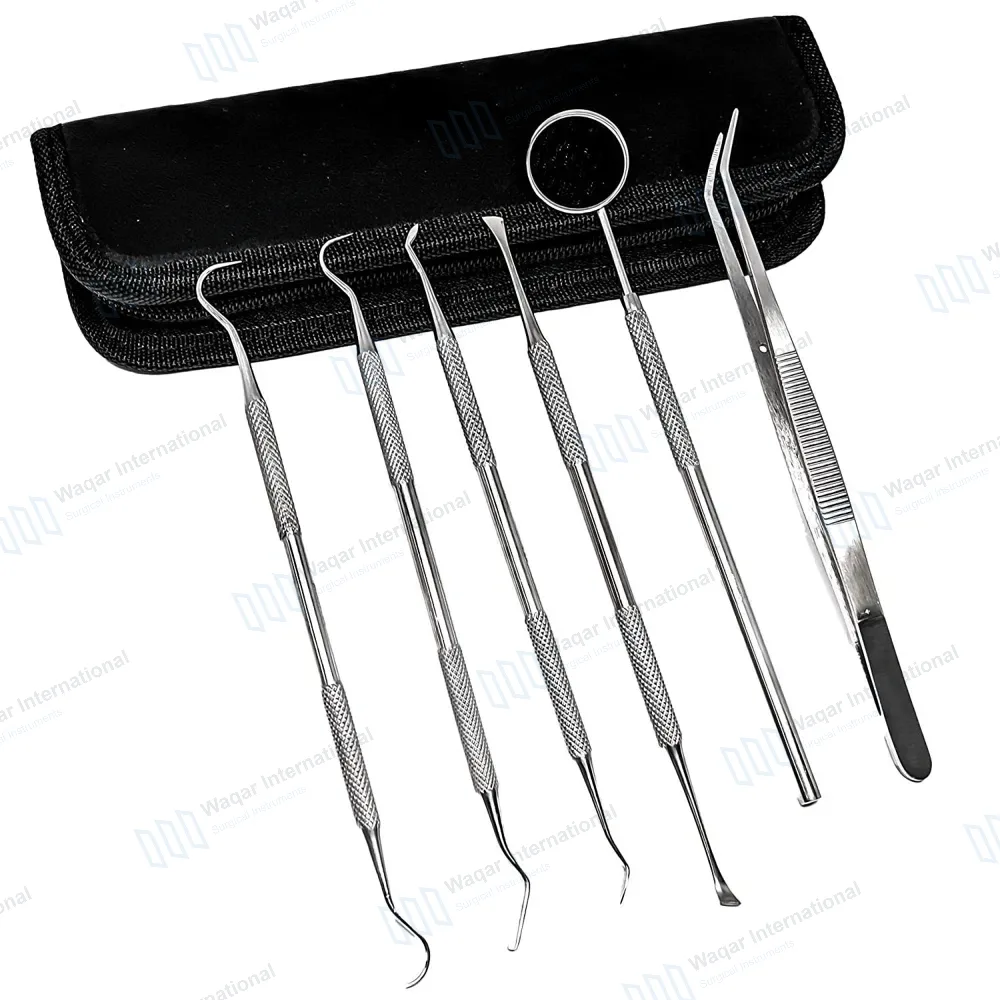 8 Pcs Dental Cleaning Oral Hygiene Kit with FREE Carrying Case