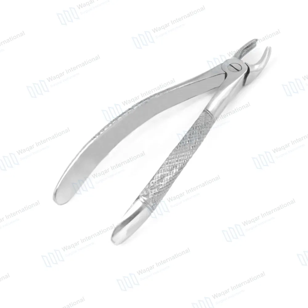 English Extracting Forceps No. 39R