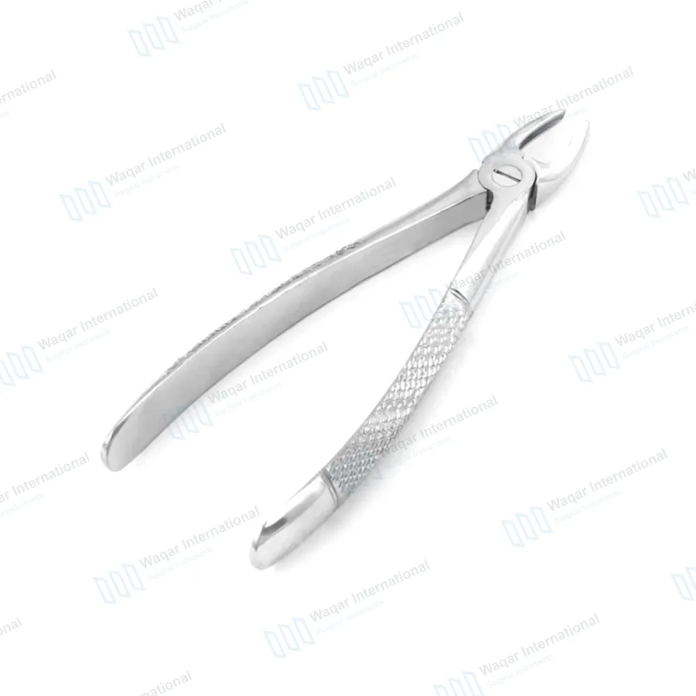 English Extracting Forceps No. 29