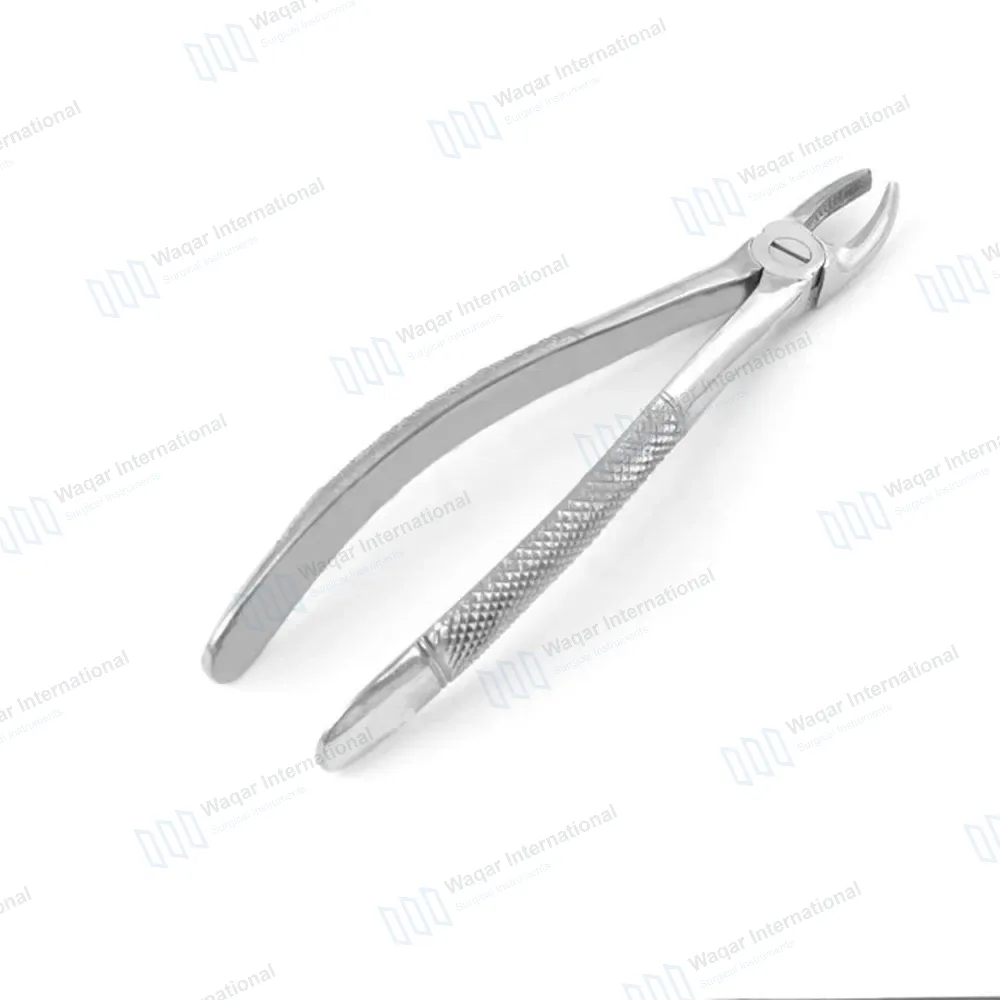 English Extracting Forceps No. 18 L