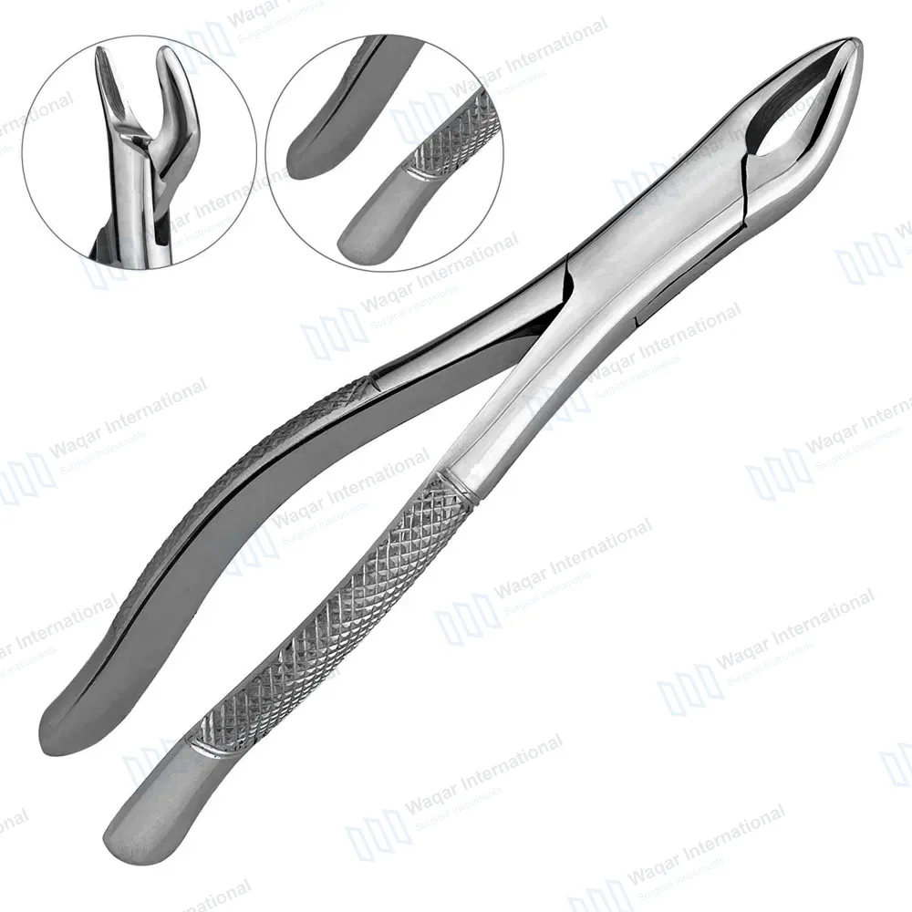 Dental Extracting Forceps #62 Upper and Lower Anterior Teeth