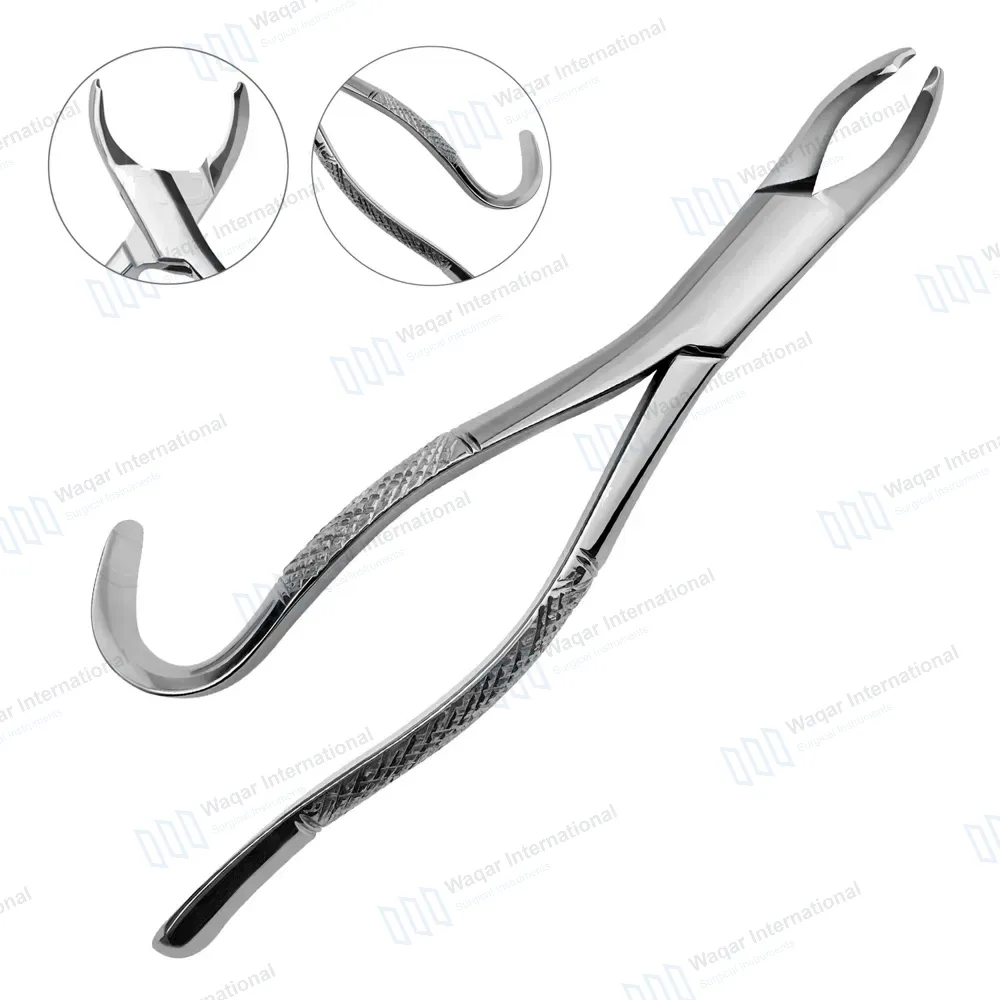 American Extracting Forceps No. 15 for 1st & 2nd Lower Molars